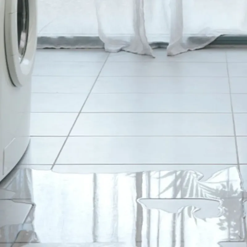 Appliance Leak Cleanup in Emerald Isle, NC