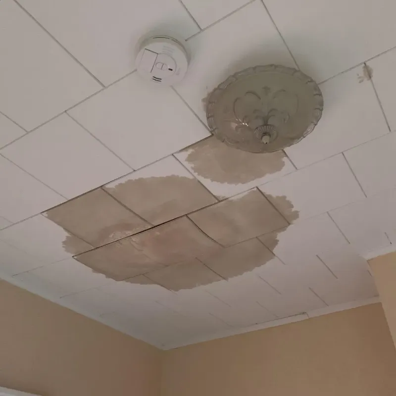 Ceiling Water Damage Repair in Emerald Isle, NC
